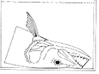 obr3